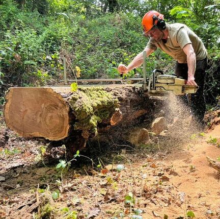 Dan Collister sawing large log 